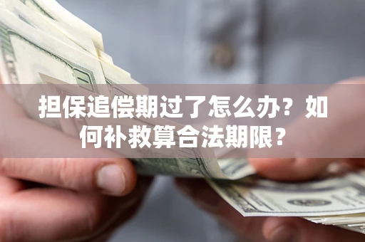 济南担保追偿期过了怎么办？如何补救算合法期限？